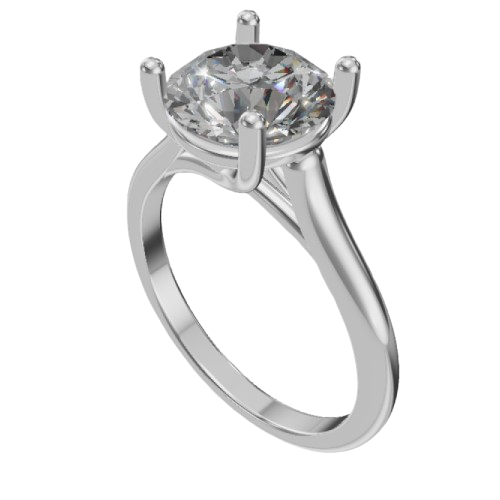 Ring model 1